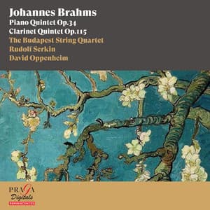 Johannes Brahms: Piano Quintet, Clarinet Quintet - Johannes Brahms
