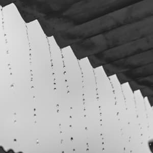 50 Ambient Rains: Veil of Raindrops - Meditation Rain Sounds