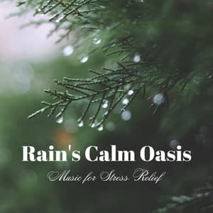 Rain's Calm Oasis: Music for Stress Relief - Rainfall For Sleep