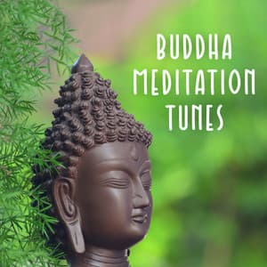 Buddha Meditation Tunes - Meditation Zen Master