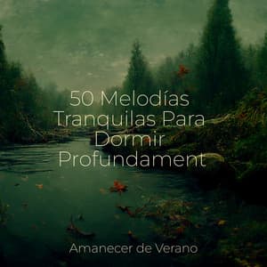 50 Melodías Tranquilas Para Dormir Profundamente - Meditación Maestro
