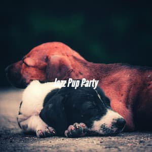 Jazz Pup Party - Dog Music Zone