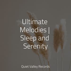 Ultimate Melodies | Sleep and Serenity - Calm Down