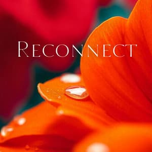 Reconnect: Healing Through Nature - Natures Orchestra