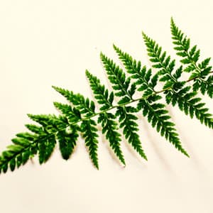 Healing Tracks of Chill Atmosphere - Nature Sounds Nature Music