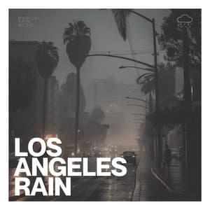Los Angeles Rain - Loopable Rain Sounds