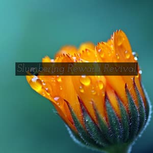 Slumbering Reward Revival - Oceara