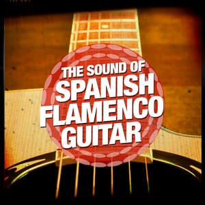 The Sound of Spanish Flamenco Guitar - Guitarra Sound