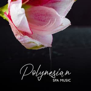 Polynesian Spa Music: Sunset in Hawaii, Tropical Music, Massage Therapy, Hawaiian Music - Pure Massage Music Consort