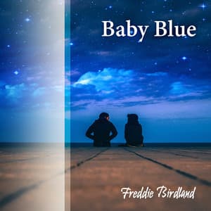 Baby Blue - Freddie Birdland