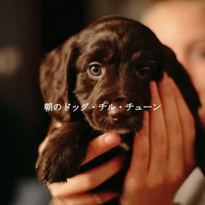朝のドッグ・チル・チューン - Jazz Alegre para Cafeterías