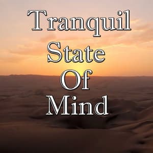Tranquil State Of Mind, Vol.3 - Tai Chi