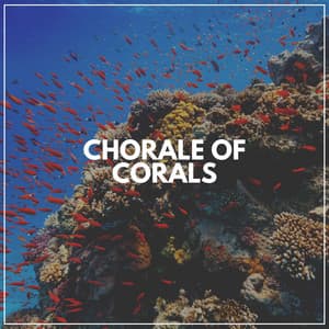 Chorale of Corals - Ocean Therapy