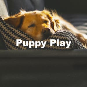 Puppy Play - Relaxing Music for Dogs