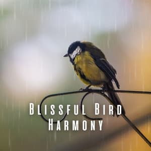 Blissful Bird Harmony - Natureza FX
