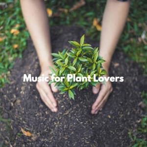 Music for Plant Lovers - Calma