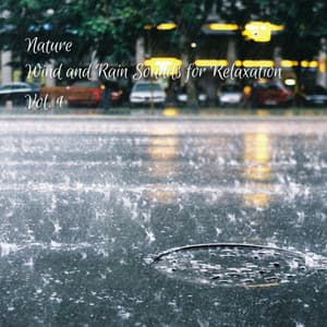 Nature: Wind and Rain Sounds for Relaxation Vol. 1 - Rain Wonder