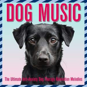 Dog Music: The Ultimate Anti-Anxiety Dog Therapy Relaxation Melodies - Relaxmydog