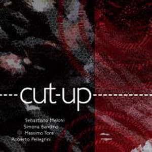 Cut-Up - Sebastiano Meloni