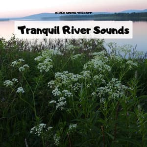 Tranquil River Sounds for Relaxation and Peaceful Sleep - River Sound Therapy