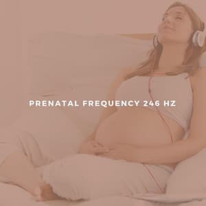 Prenatal Frequency 246 Hz - Meditation Healing Therapy