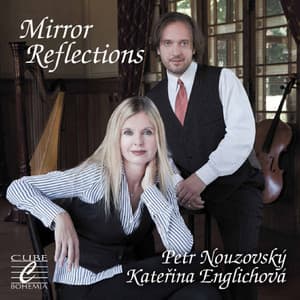 Mirror Reflections - Petr Nouzovský