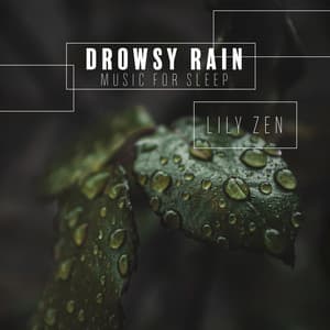 Drowsy Rain: Music for Sleep, Meditation & Yoga - Lily Zen