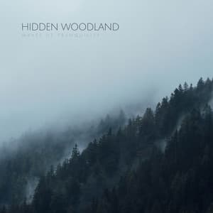 Hidden Woodland - Waves of Tranquility