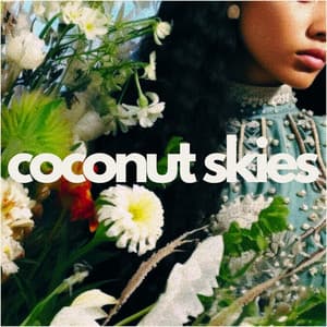 Coconut Skies: Viento y Sueños - Beach Party Chillout Music Ensemble