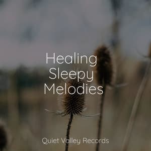 Healing Sleepy Melodies - Meditation Zen