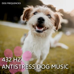 432 Hz Antistress Dog Music - Dog Music