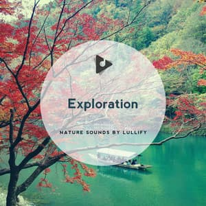 Exploration - Nature Sounds by Lullify
