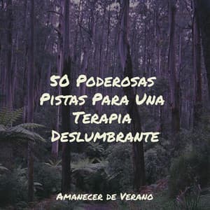 50 Poderosas Pistas Para Una Terapia Deslumbrante - Guitarra Clásica Española