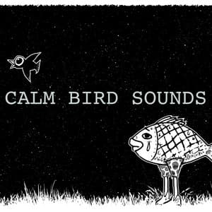 Calm Bird Sounds - Calm Bird Sounds