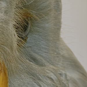 365 Complete Works 19 - Aidan O'Rourke