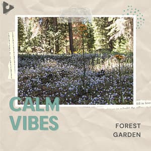 Forest Garden - Calm Vibes