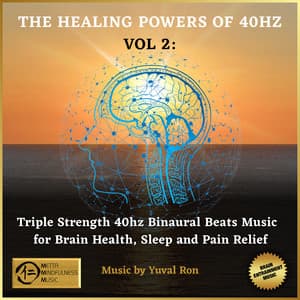 The Healing Power Of 40 Hz - Vol. 2 - Yuval Ron