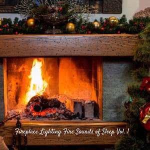 Fireplace Lighting Fire Sounds of Sleep Vol. 1 - Sleep Dog