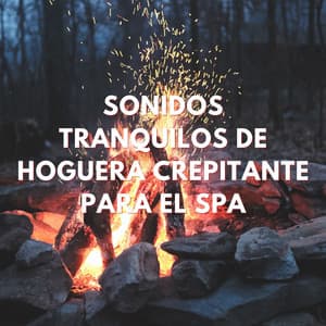 Escapada Junto A La Hoguera: Sonidos Tranquilos De Hoguera Crepitante Para El Spa - Sonidos de fuego de llamas celestiales