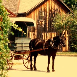 Country, Blues & More - Paul Lenart