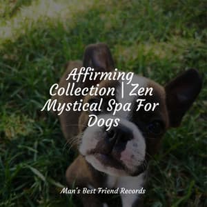 Calm Music For Dogs | Listen - Relaxing Music for Dogs