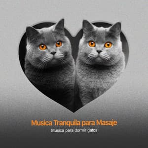 Musica Tranquila para Masaje - Música para dormir Gatos