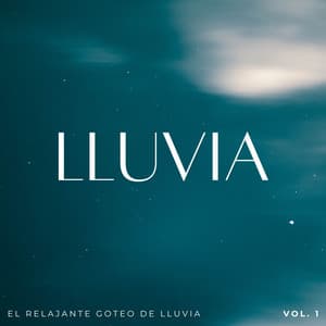 Lluvia: El Relajante Goteo De Lluvia Vol. 1 - Maravilla de lluvia