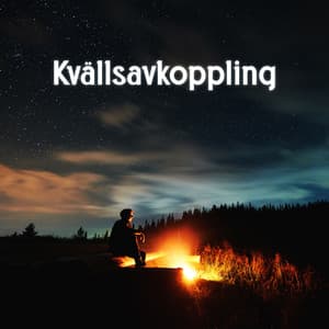 Kvällsavkoppling: Sovmusik för avkoppling, lugn och harmoni med sänggåendet - Meditationsmusik zen institute