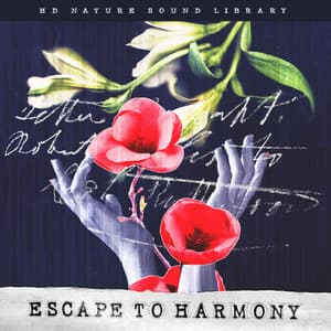 Escape to Harmony - HD Nature Sound Library