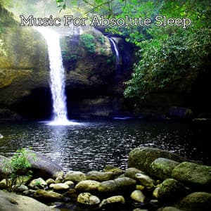 Absolute Sleep Healing Dreams - Sleepy Night Music