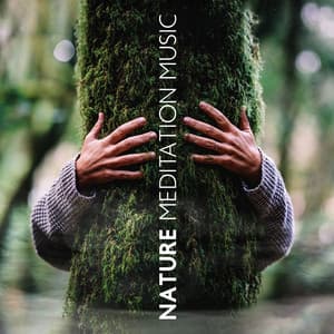 Nature Meditation Music with Soothing Atmosphere - Calm Nature Oasis