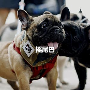 摇尾巴 - Relaxing Chillout Lounge