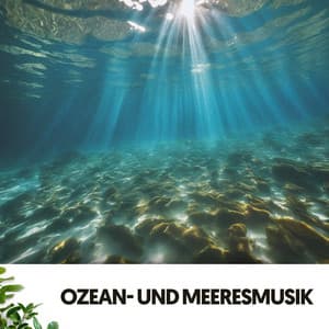 Ozean- und Meeresklänge: Wellen der Melodie für die Seele - Relajacion