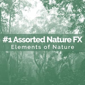 #1 Assorted Nature FX - Elements of Nature